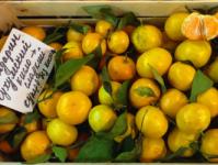 Пружні, яскраві, рівні: як вибрати смачні мандарини на Новий рік?