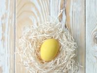 계란에 안전한 따개비를 선택하는 방법은 무엇입니까?