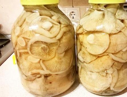 뜨겁고 차가운 방법을 사용하여 겨울 동안 항아리에 버섯을 소금에 절이는 방법 : 버섯을 준비하는 더 간단한 요리법 Rizhi 피클을 차가운 방법으로